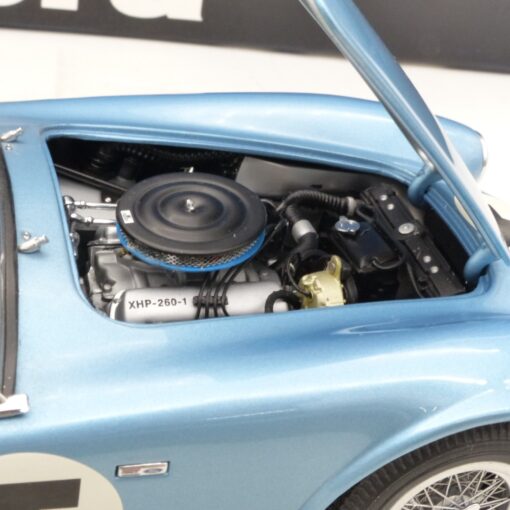 Exoto 1:18 18124 Shelby Cobra 260 T-Car Prototyp 1962 in OVP EX7857 – Bild 8