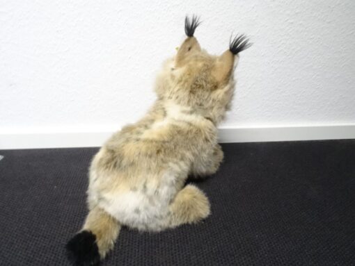 Steiff Luchs Lynx Molly ca 40cm sitzend rar OR8114 o. – Bild 5